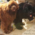 Фотография № 210355