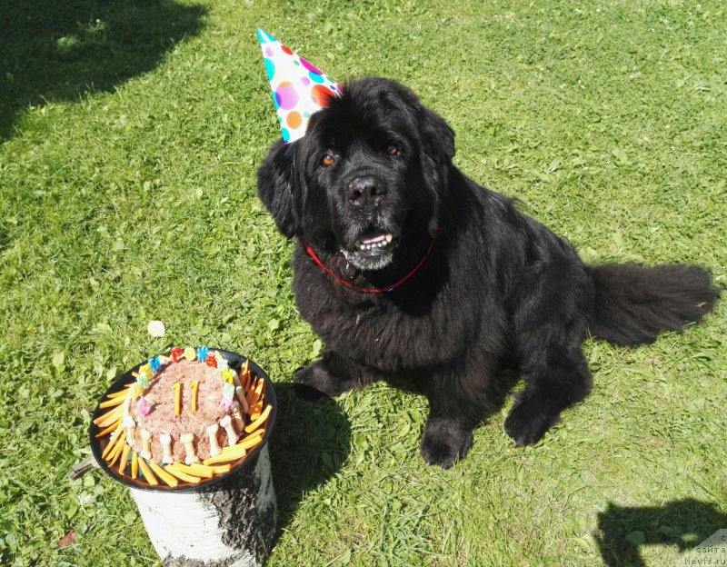 Фотография № 210356