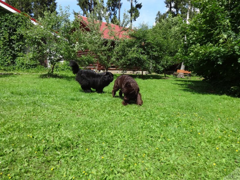 Фотография № 210363