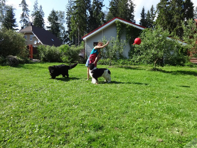 Фотография № 210364