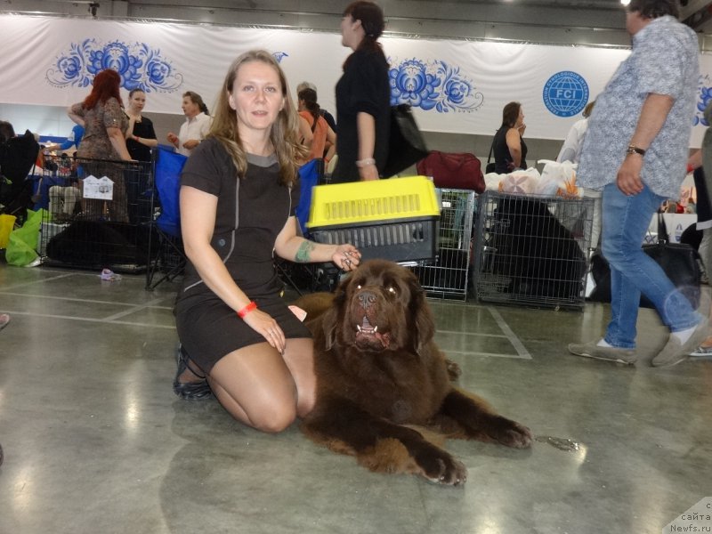 Фотография № 210366