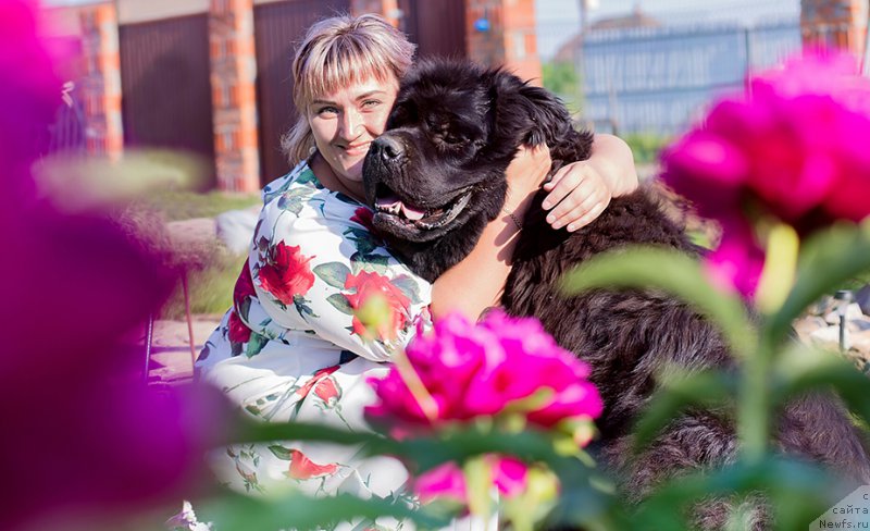 Фото: ньюфаундленд Rusalochka iz Plemeni Kedra (Русалочка из Племени Кедра), Elizaveta Pavlova (Елизавета Павлова)