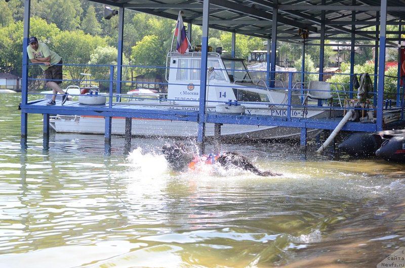 Фотография № 210394