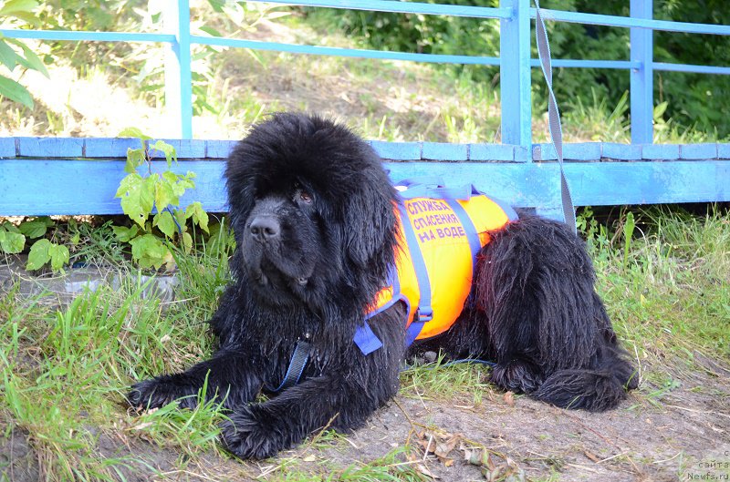 Фотография № 210397