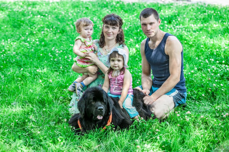 Фотография № 210418