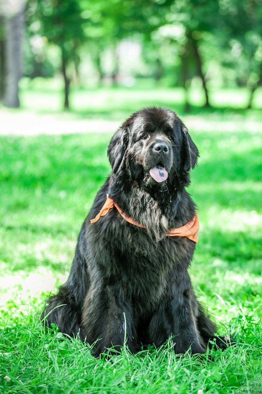 Фотография № 210419