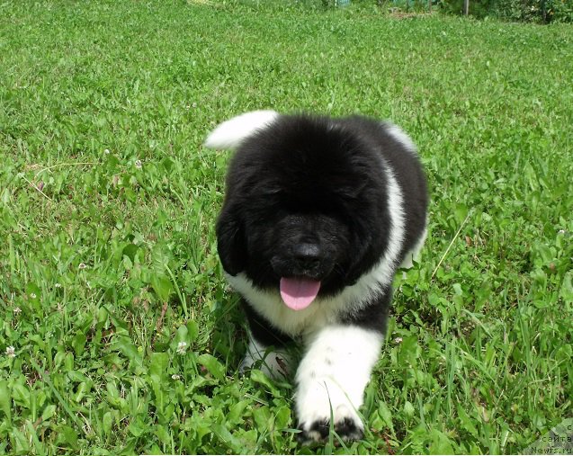 Фотография № 210427