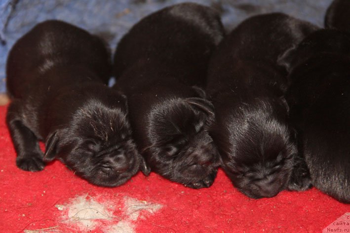 Фотография № 210486