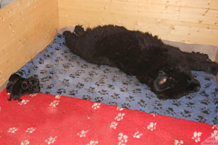 Фотография № 210487