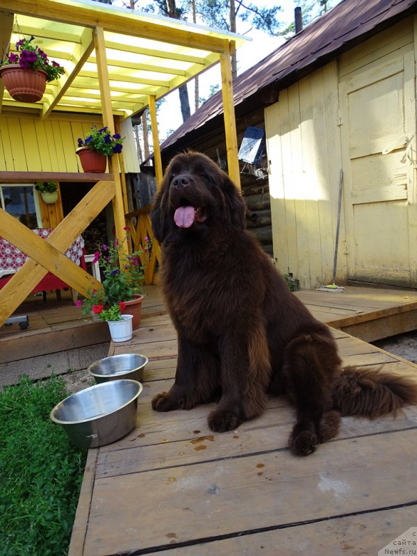 Фотография № 210488