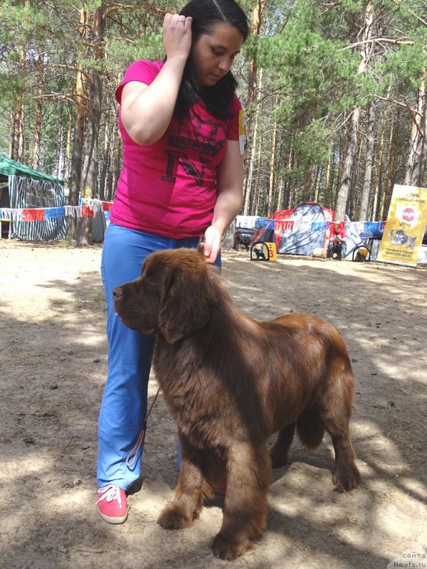 Фотография № 210493