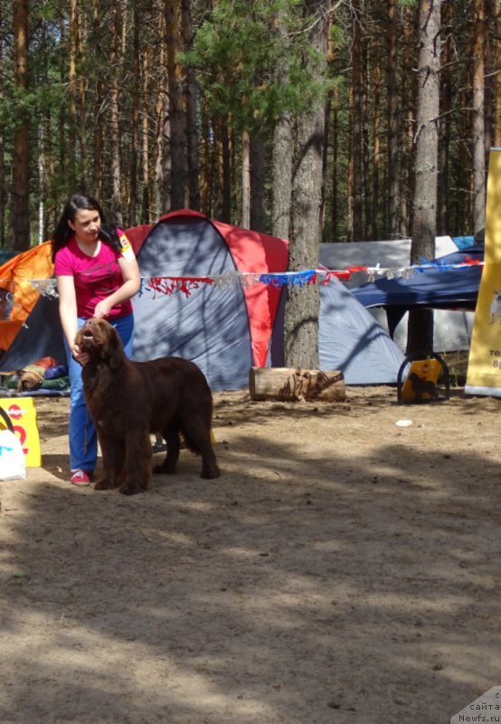 Фотография № 210494