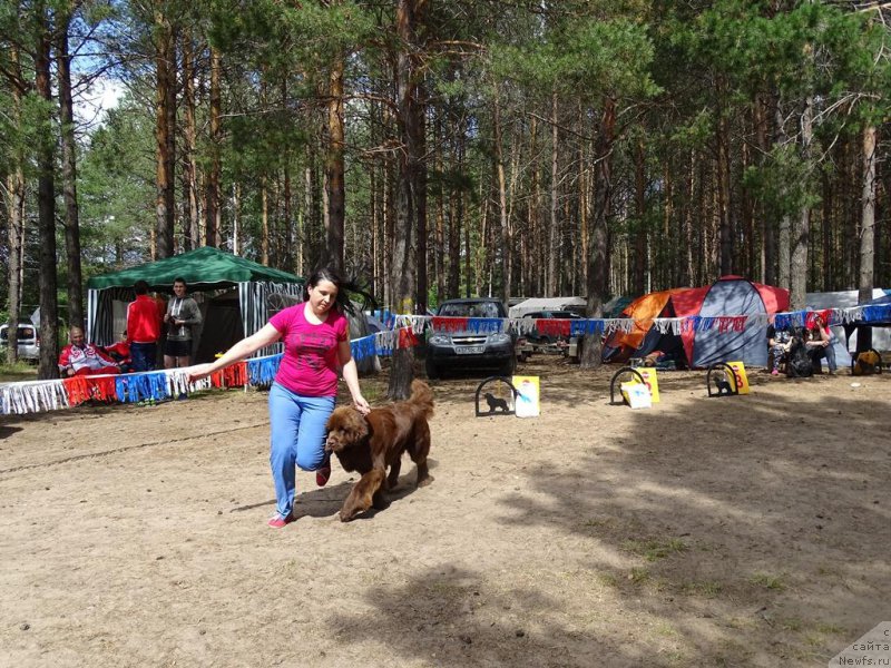 Фотография № 210495