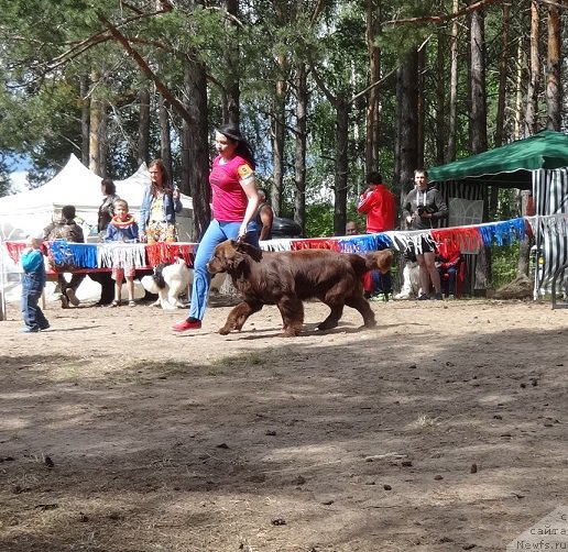 Фотография № 210499