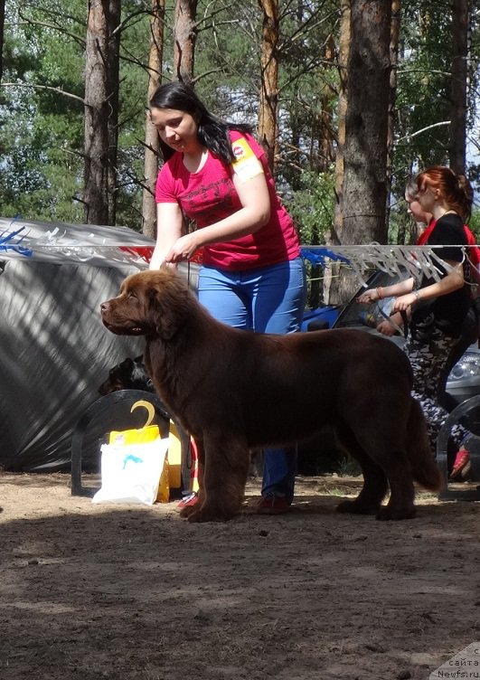 Фотография № 210501