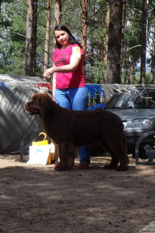 Фотография № 210502