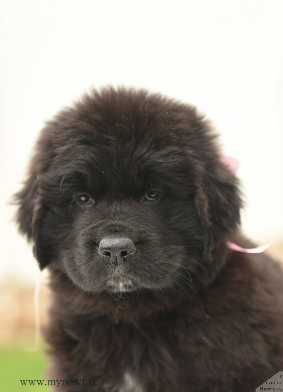 Фотография № 210512