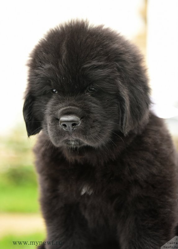 Фотография № 210532