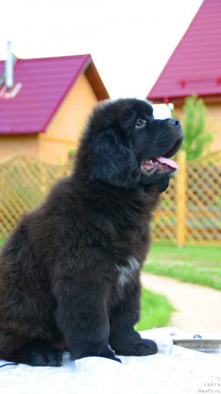 Фотография № 210545