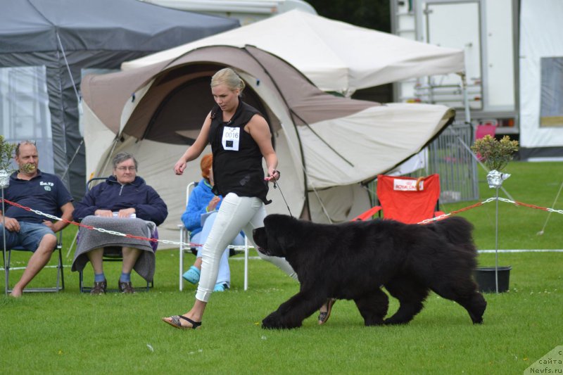 Фотография № 210551