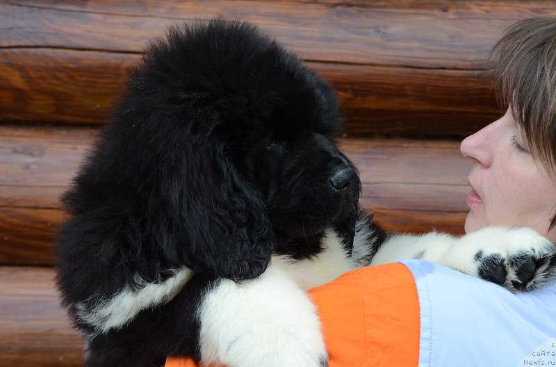 Фотография № 210555