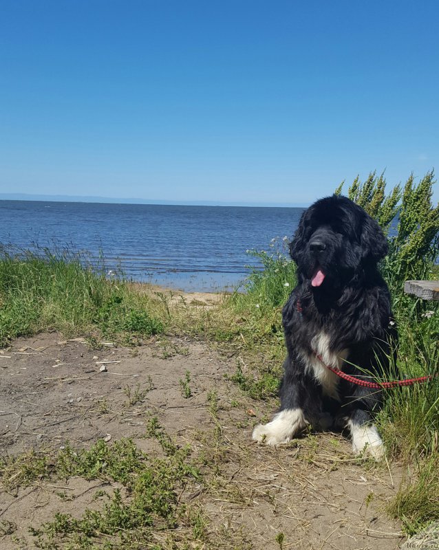 Фотография № 210621