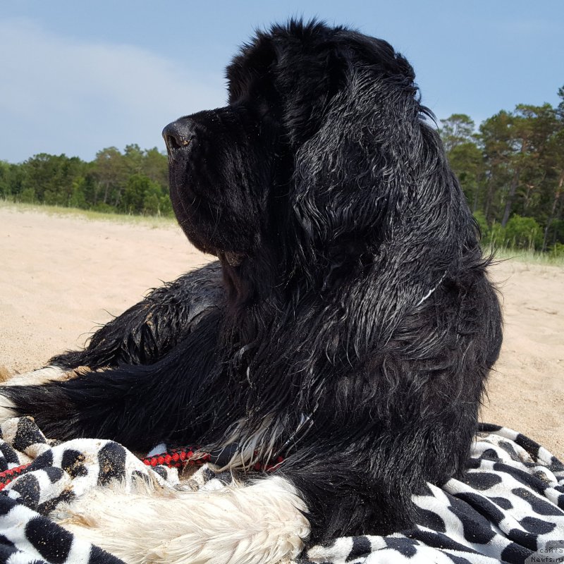 Фотография № 210622