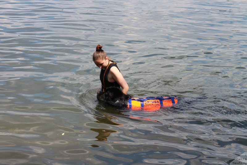 Фотография № 210626