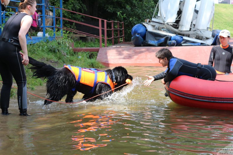 Фотография № 210627