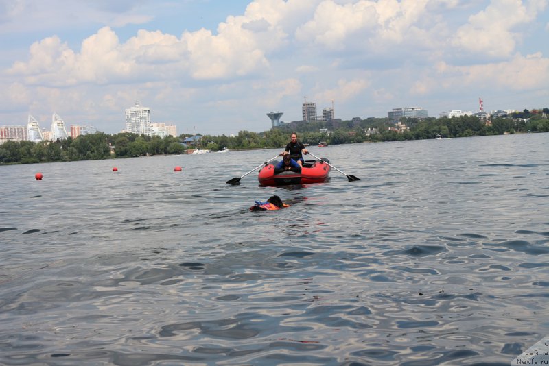 Фотография № 210629