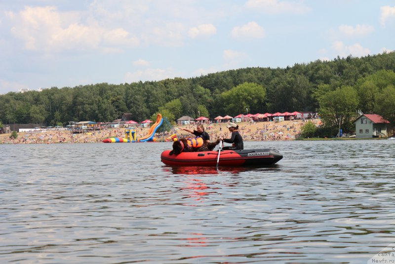 Фотография № 210633