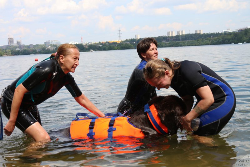 Фотография № 210634