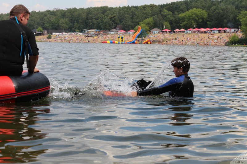 Фотография № 210638