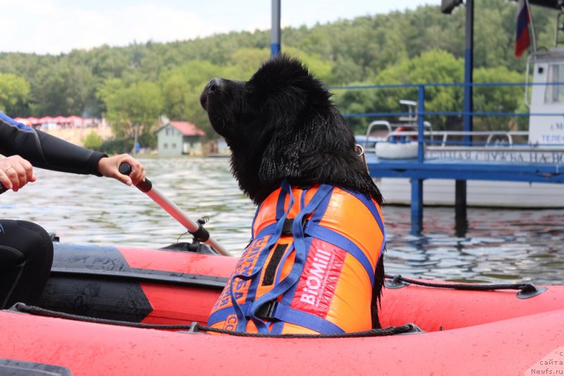 Фотография № 210639