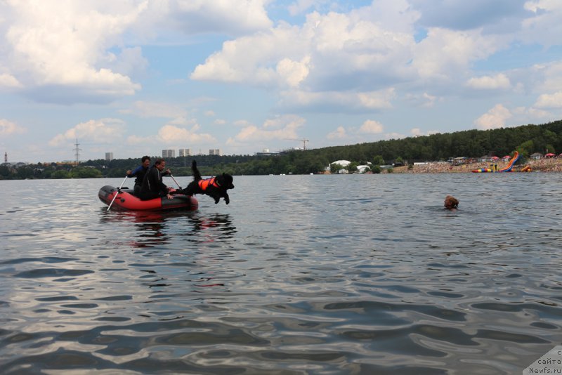 Фотография № 210641