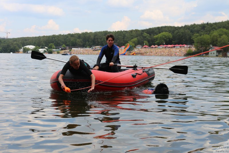 Фотография № 210642