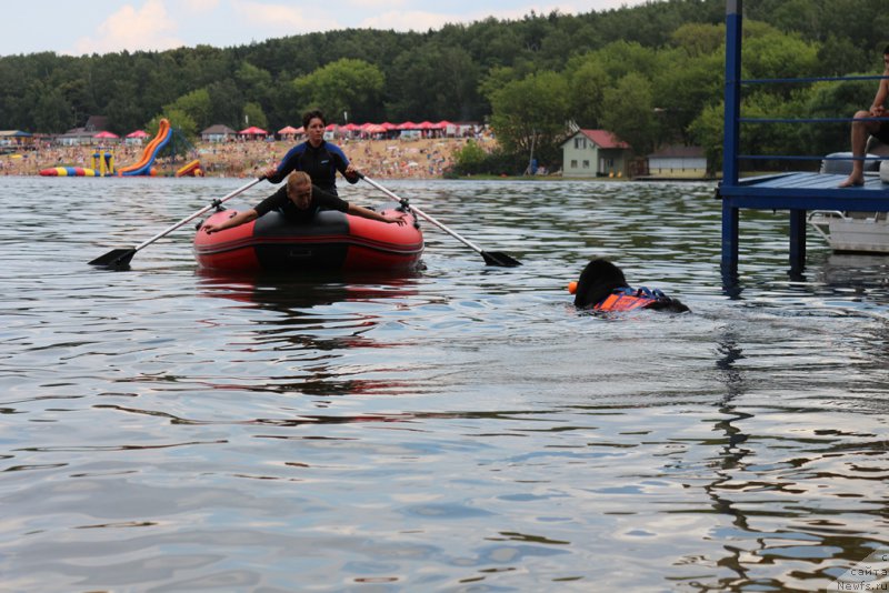 Фотография № 210644