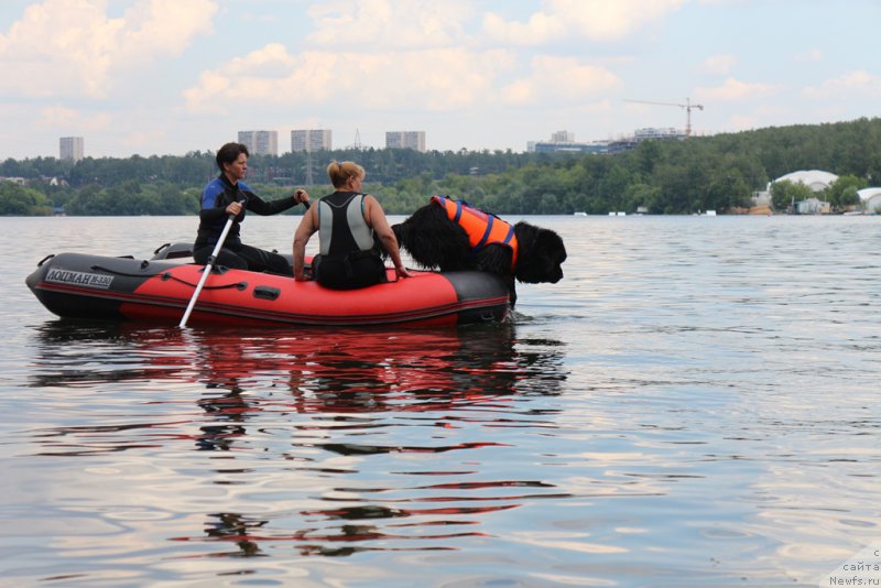 Фотография № 210645