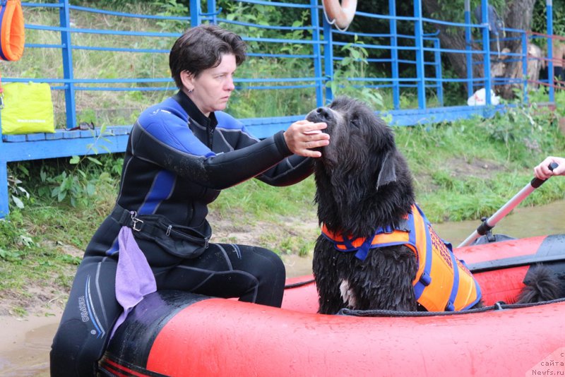 Фотография № 210646