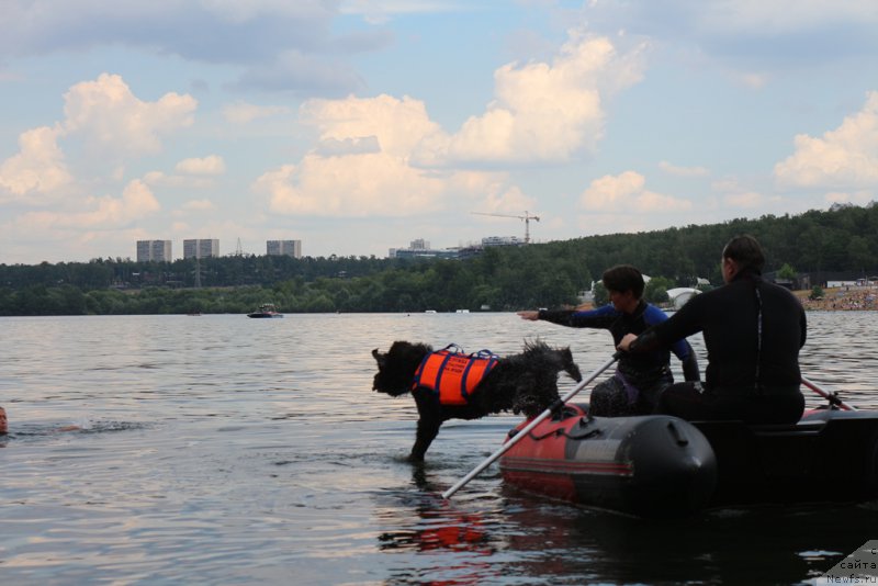 Фотография № 210647