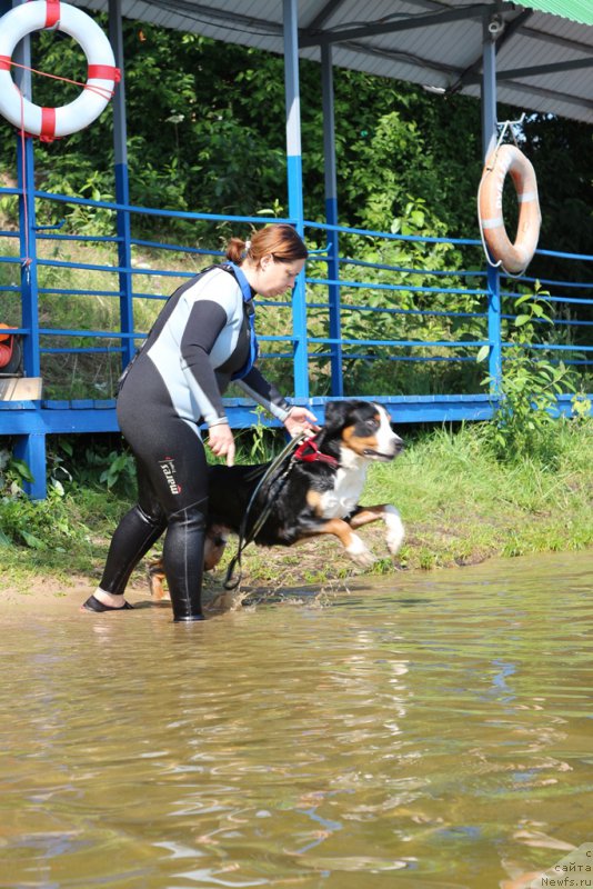 Фотография № 210650