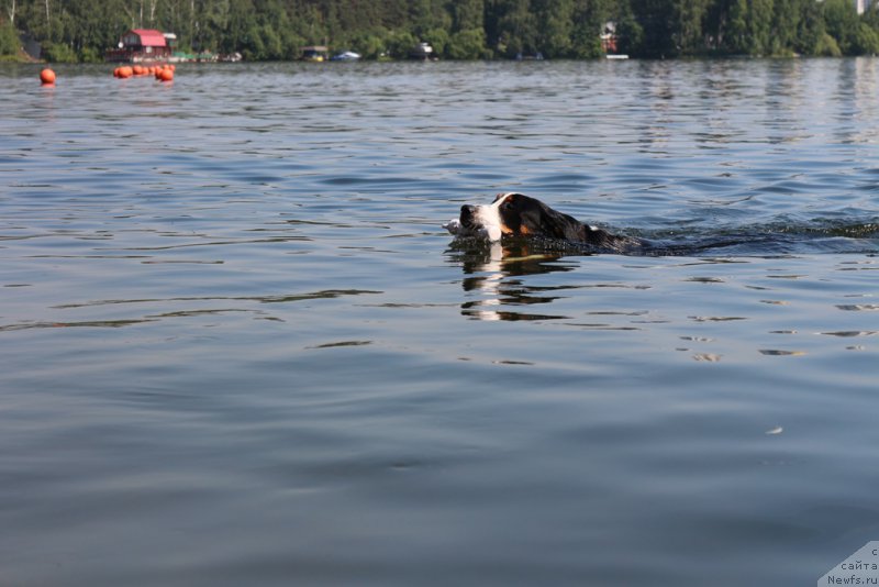 Фотография № 210651