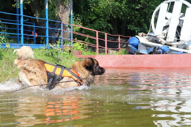 Фотография № 210652