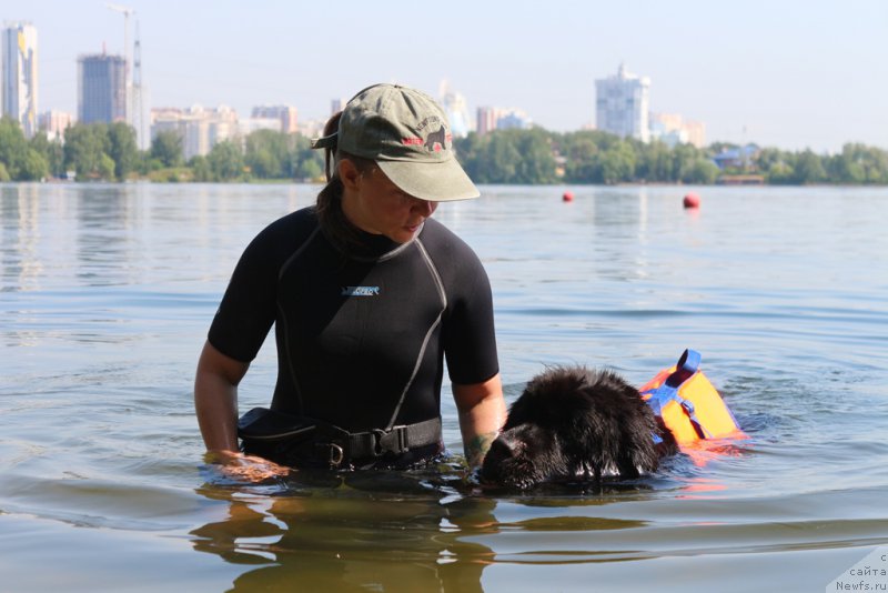 Фотография № 210654