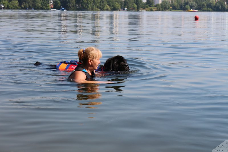 Фотография № 210655