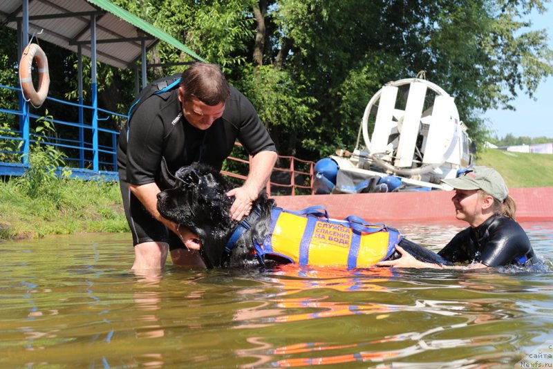 Фотография № 210660