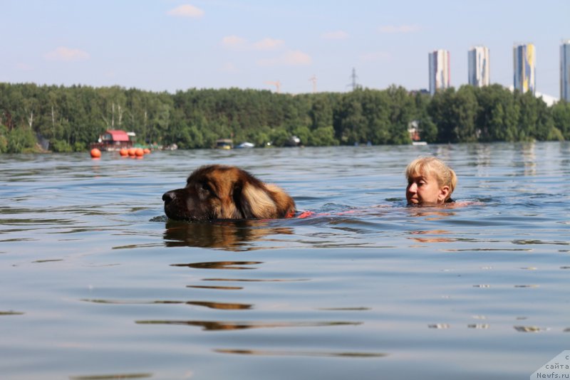 Фотография № 210666