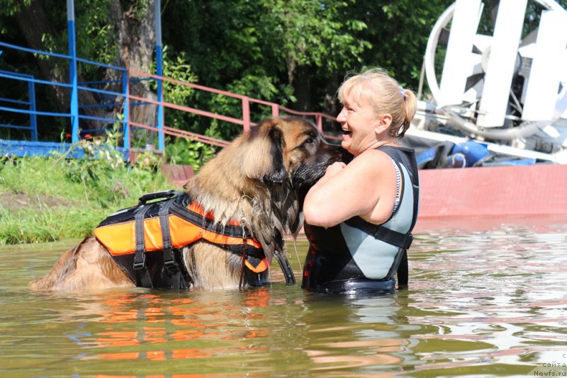 Фотография № 210667