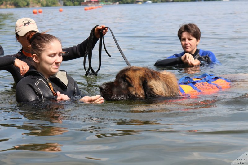 Фотография № 210671