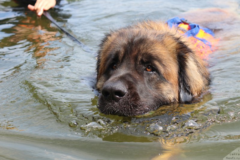 Фотография № 210672